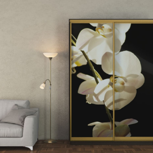 Шафи-купе 1.1 м