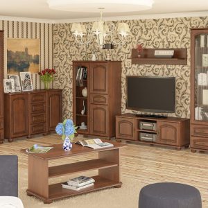 Система Салма