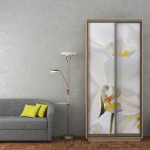 ШК-ФД-100 дводверна шафа-купе з фотодруком