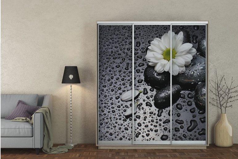 Шафа-купе лакобель