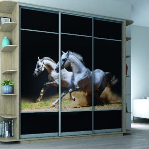 ШК-ФД2К-220 тридверна шафа-купе з фасадами фотодрук від Гарант НВ