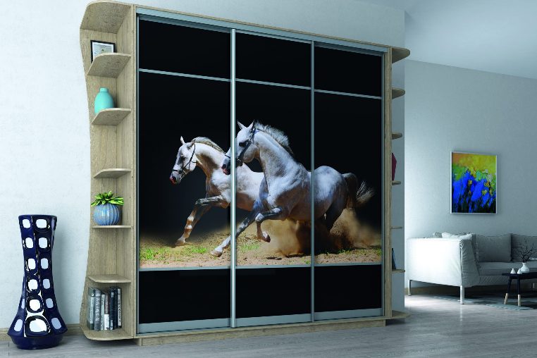 ШК-ФД2К-220 тридверна шафа-купе з фасадами фотодрук від Гарант НВ