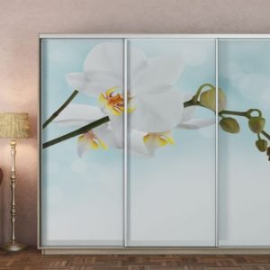 ШК-ФД-260 тридверна шафа-купе з фасадами фотодрук від Гарант НВ