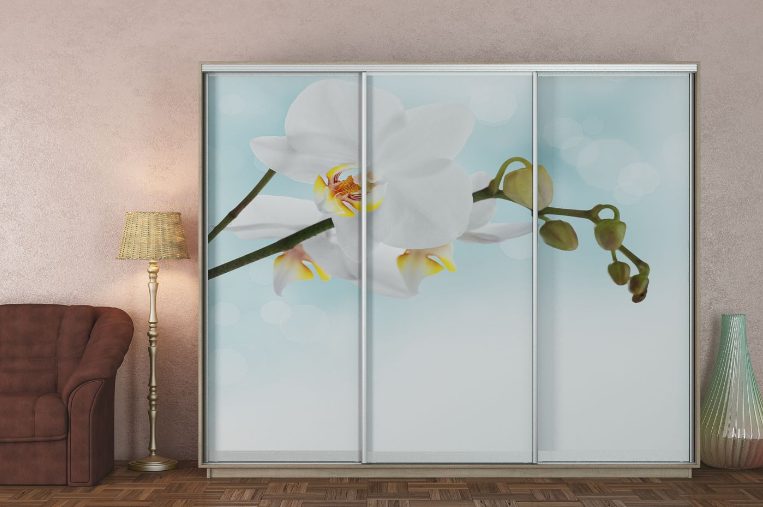 Шафа-купе фотодрук