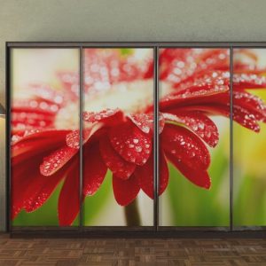 ШК-ФДК-330 чотиридверна шафа-купе з фасадами фотодрук від Гарант НВ