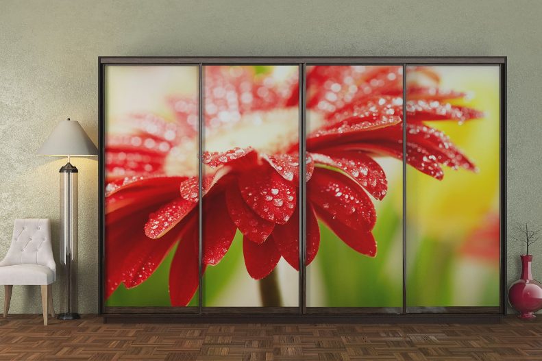 ШК-ФДК-330 чотиридверна шафа-купе з фасадами фотодрук від Гарант НВ