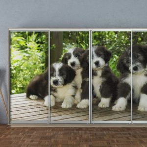 ШК-ФД-360 чотиридверна шафа-купе з фасадами фотодрук від Гарант НВ