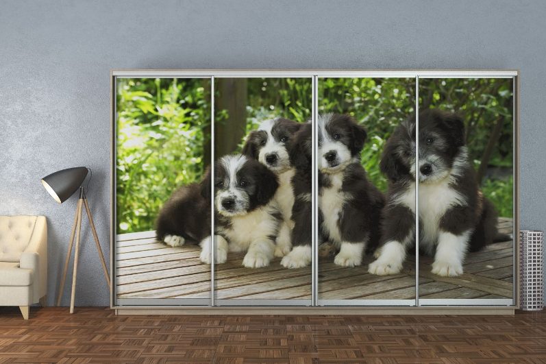 Шафа-купе фотодрук