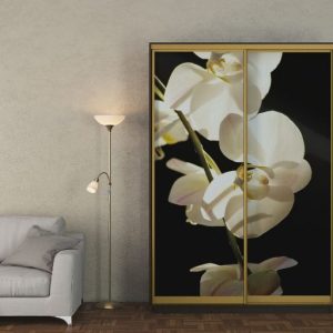 ШК-ФЗ-150 шафа-купе з фасадами фотодрук від Гарант НВ Україна