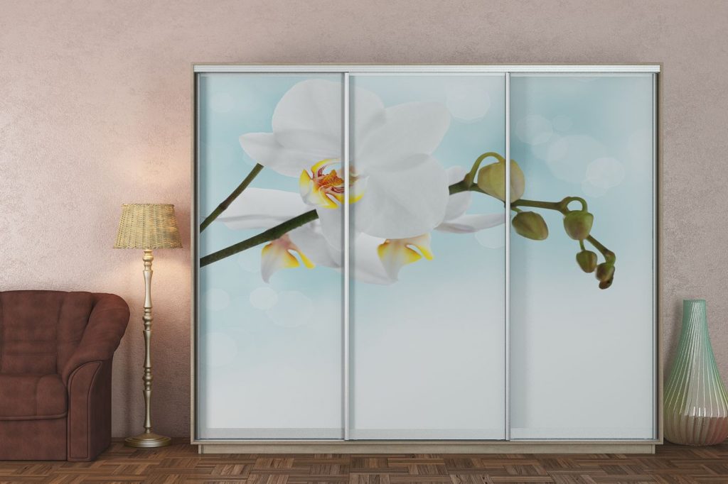 Шафи-купе 2.6 м