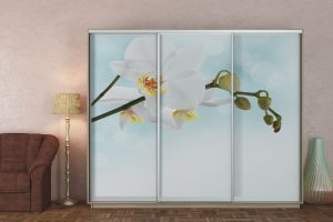 Шафи-купе 2.6 м