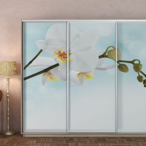 Шафи-купе 2.6 м