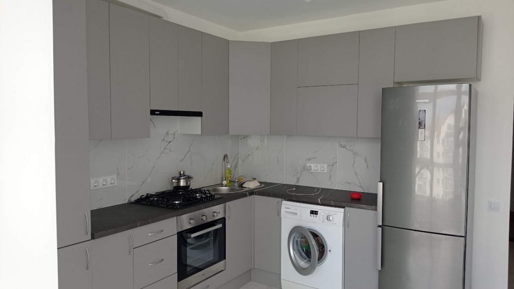 Сіра шиншила