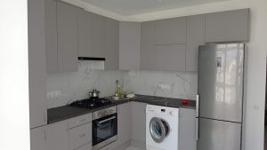 Сіра шиншила