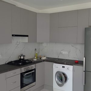 Сіра шиншила