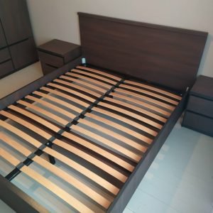 IMG_2023-1011_15478651