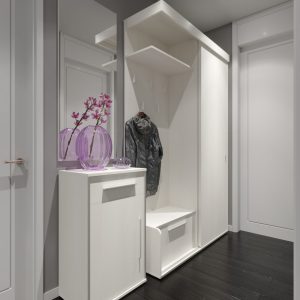 Агата система