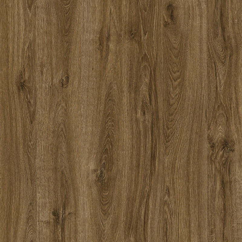 Дуб травіата