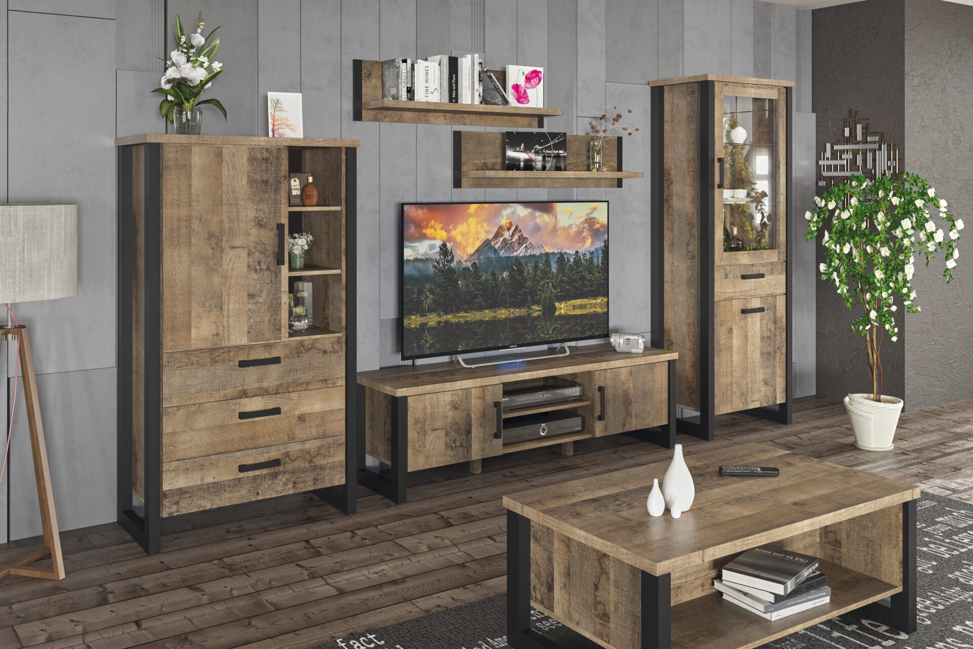 Система Емілі