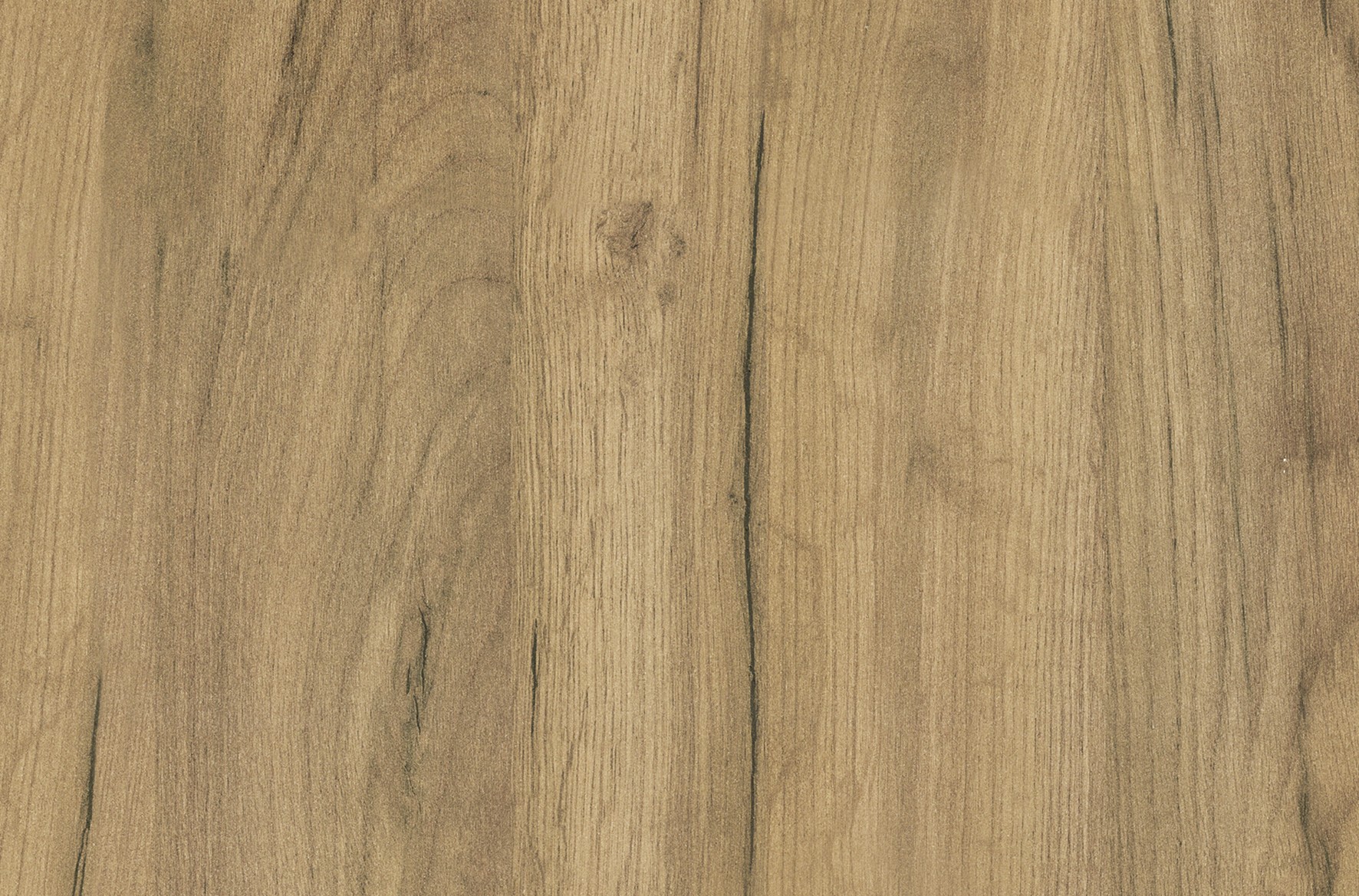 Дуб золотий