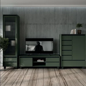 ЛАУНДЖ модульна вітальня від фабрики БРВ/ВМК