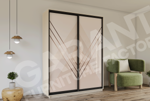 ШК-Д/ФД-100 дводверна шафа-купе комбінована від Гарант