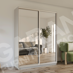 ШК-Д/ДЗМ-100 дводверна шафа-купе комбінована від Гарант