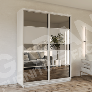 ШК-Д/ДПМ-100 дводверна шафа-купе комбінована від Гарант